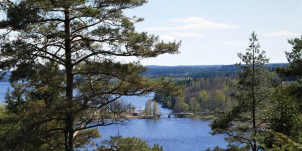 Olsborg 2